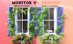 print monitor color matching